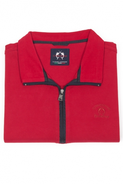 Polo Campione  clássico ,linha conforto