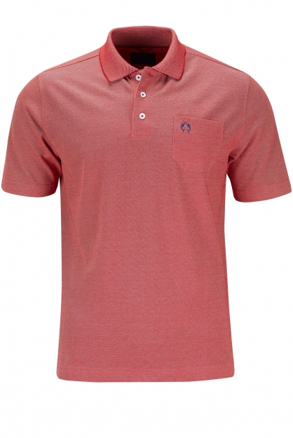 Polo Campione