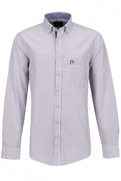 Camisa Campione