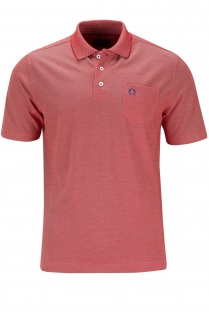 Polo Campione