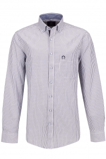 Camisa Campione