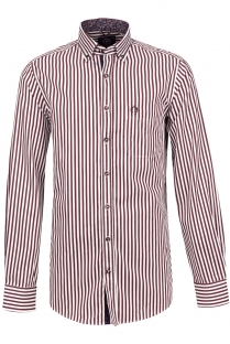 Camisa Campione